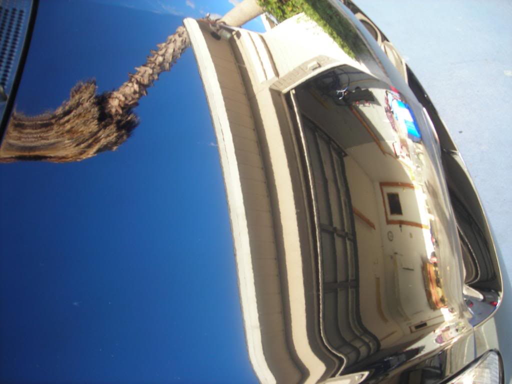 Name:  blackfitdetail040.jpg
Views: 120
Size:  64.7 KB