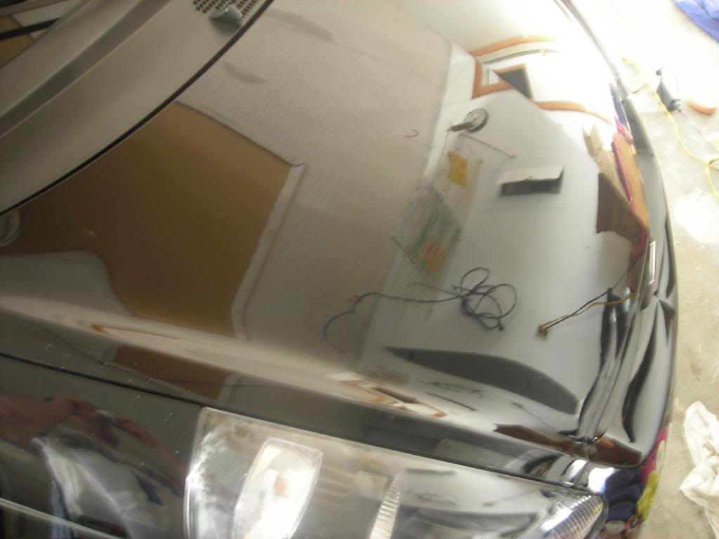 Name:  blackfitdetail051.jpg
Views: 167
Size:  57.0 KB