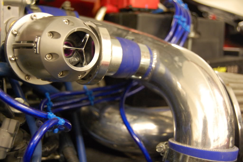 Name:  DSC_8700.jpg
Views: 109
Size:  109.3 KB