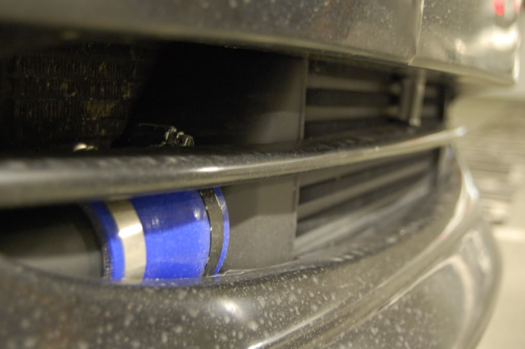 Name:  DSC_8703.jpg
Views: 116
Size:  81.0 KB