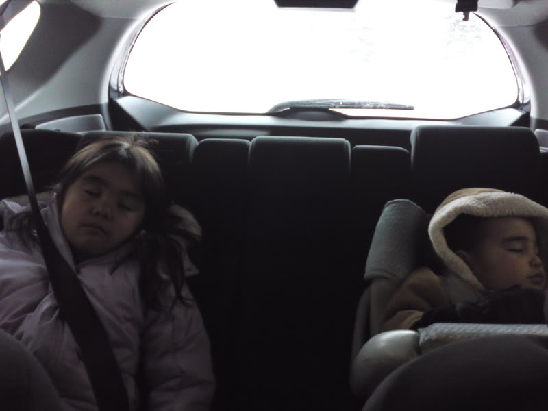 Name:  DSC00078.jpg
Views: 9351
Size:  44.5 KB