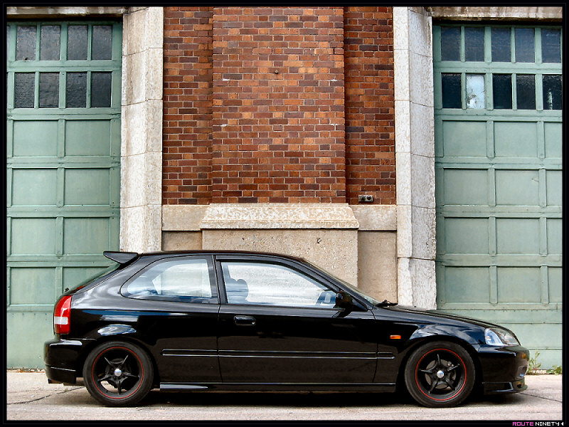 Name:  buckwheat6.jpg
Views: 1234
Size:  188.3 KB