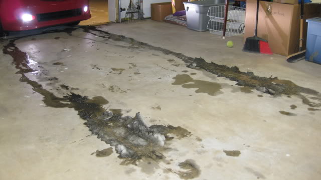 Name:  IMG_0356.jpg
Views: 133
Size:  38.4 KB