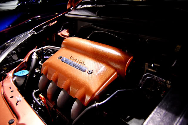 Name:  DSC_2550.jpg
Views: 117
Size:  58.6 KB