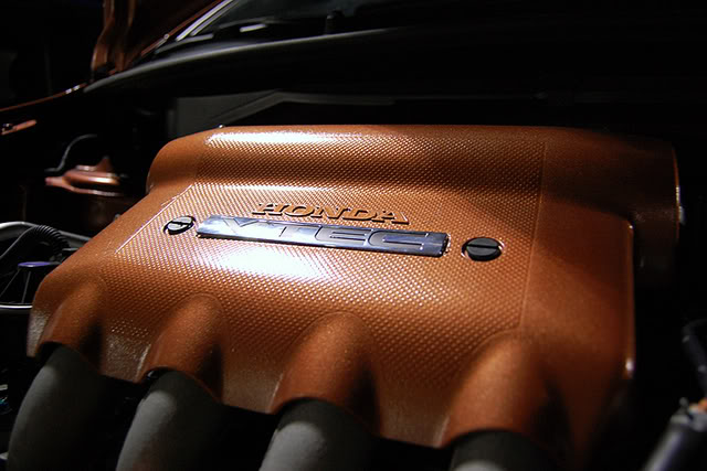 Name:  DSC_2556.jpg
Views: 117
Size:  54.3 KB