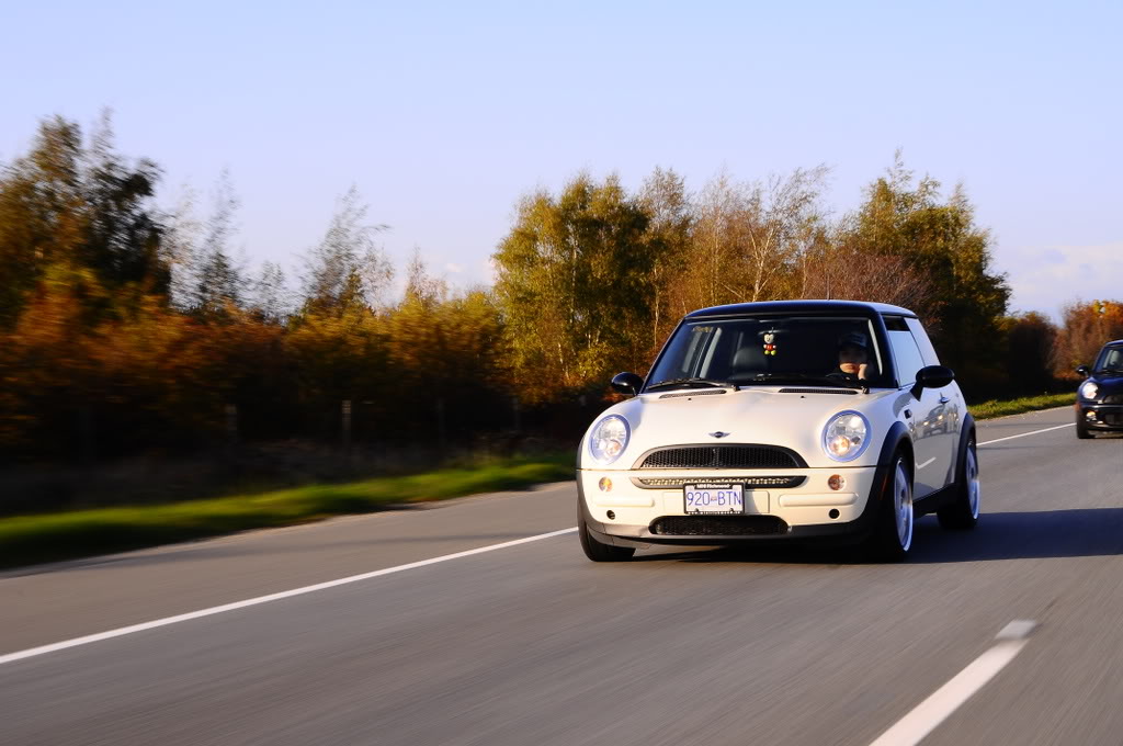 Name:  d868461e.jpg
Views: 53
Size:  131.7 KB