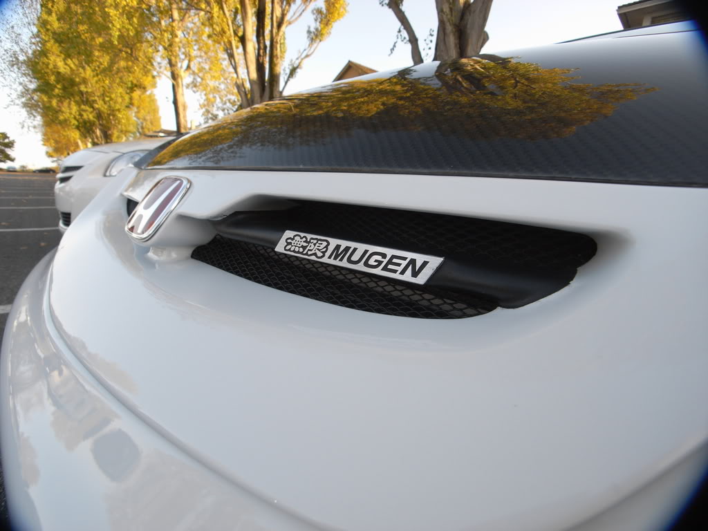 Name:  3718dd9e.jpg
Views: 97
Size:  113.1 KB