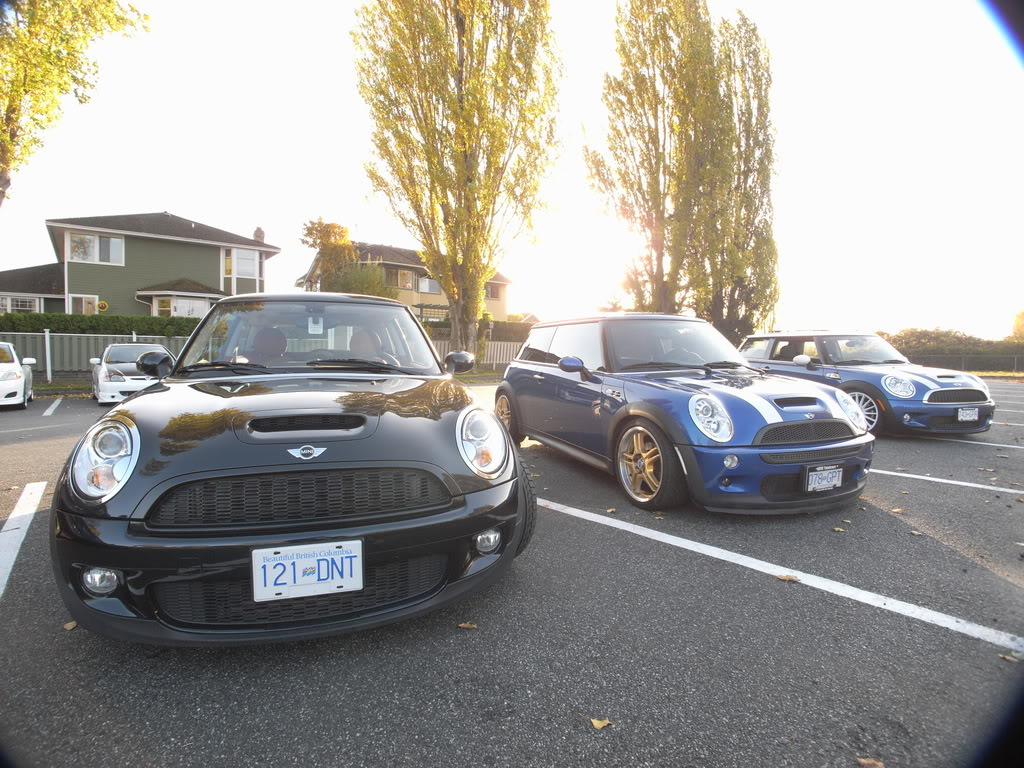 Name:  690a7451.jpg
Views: 110
Size:  231.9 KB