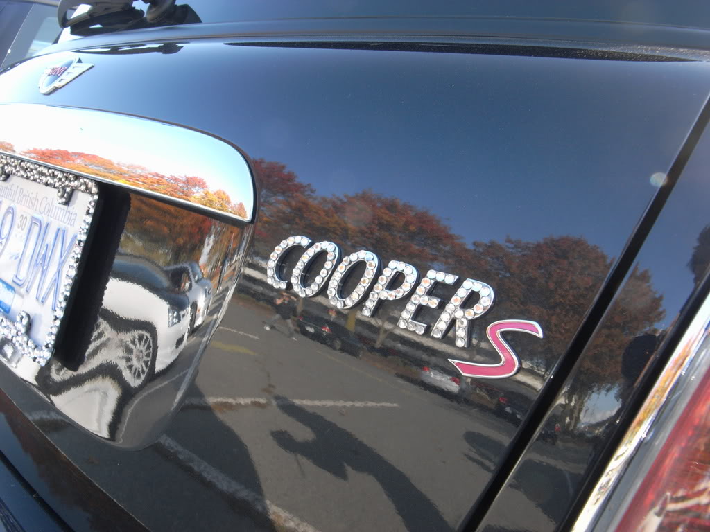 Name:  R0014172.jpg
Views: 104
Size:  138.8 KB