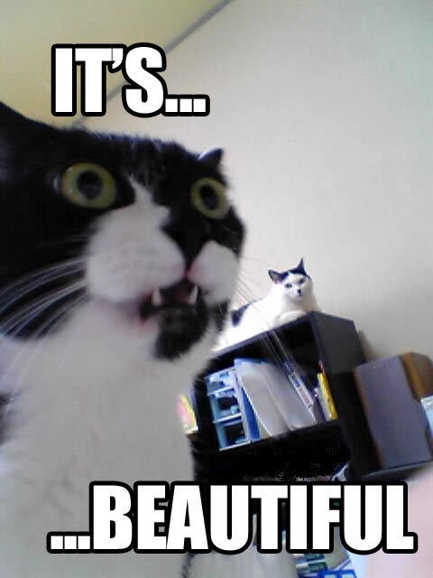 Name:  itsbeautiful.jpg
Views: 1384
Size:  33.2 KB