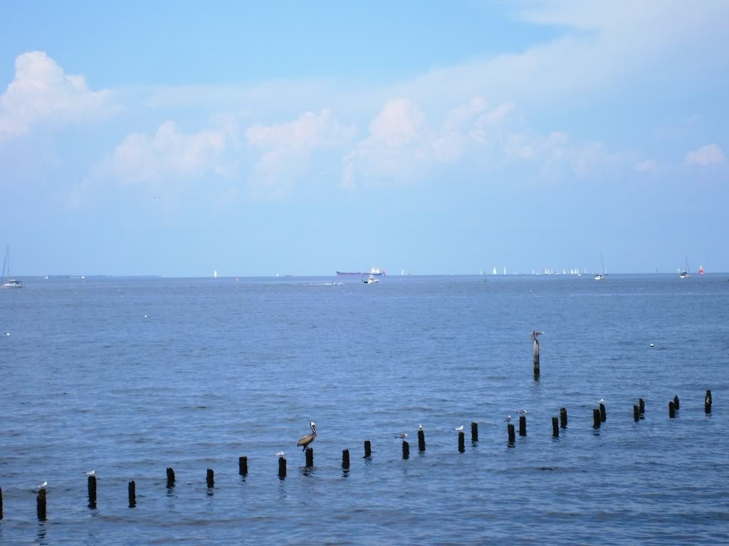 Name:  ReneandJason021.jpg
Views: 47
Size:  115.0 KB