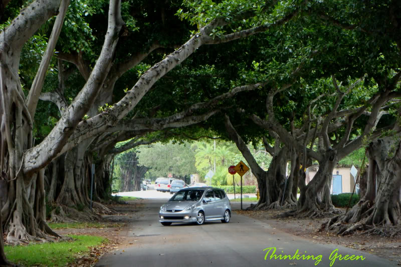Name:  DSC02944copy.jpg
Views: 63
Size:  121.2 KB