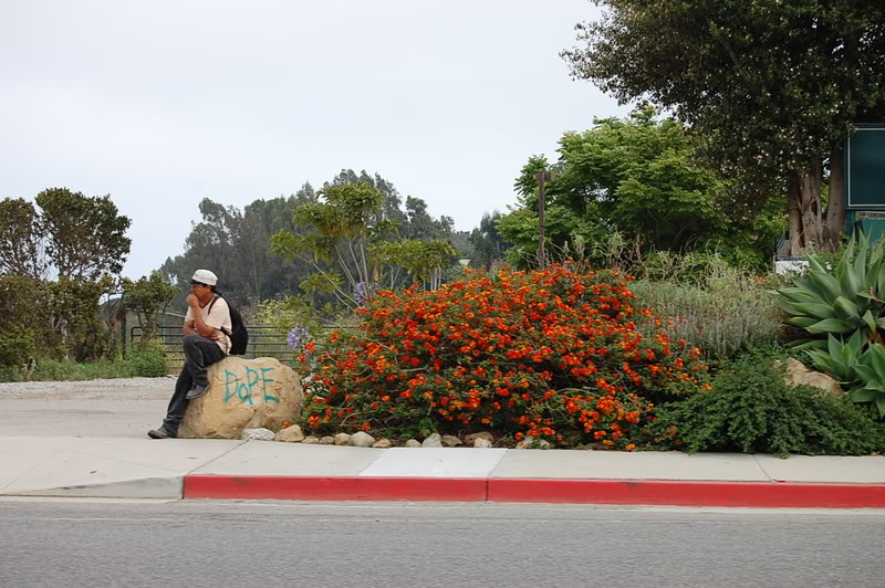 Name:  DSC_0007.jpg
Views: 362
Size:  145.6 KB