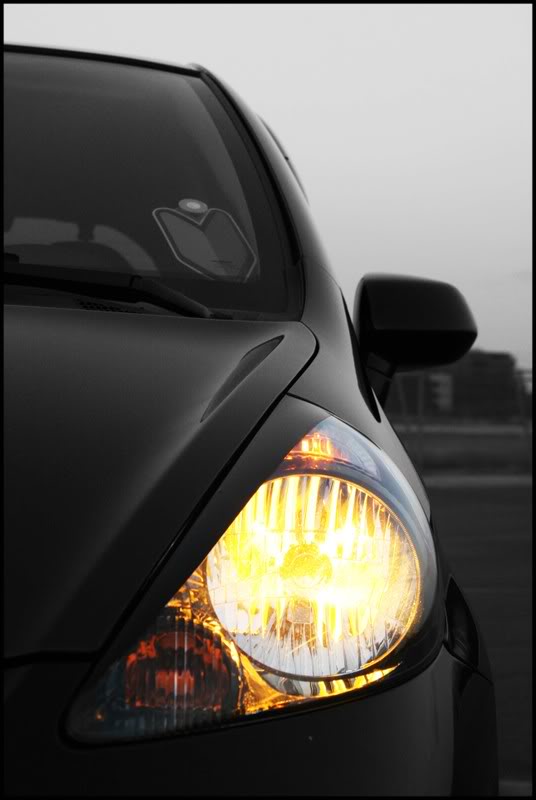 Name: july2008542.jpg
Views: 139
Size: 40.7 KB