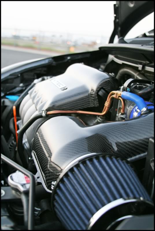 Name: july2008549.jpg
Views: 160
Size: 64.4 KB