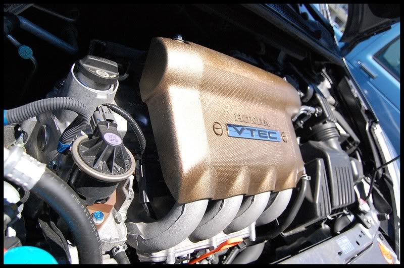 Name:  DSC_0131.jpg
Views: 64
Size:  127.5 KB