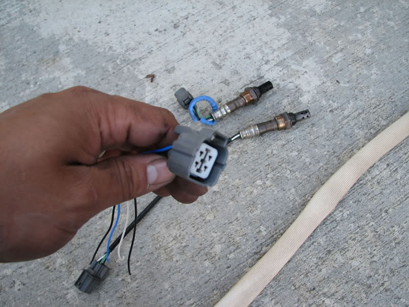 Name:  CAtcahcan009.jpg
Views: 603
Size:  90.5 KB