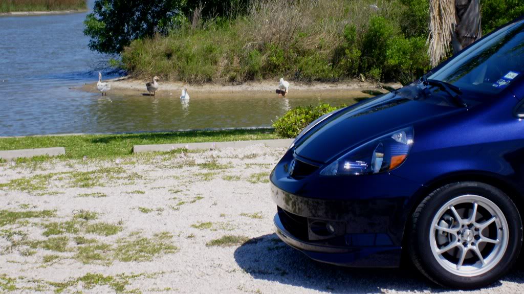 Name: NewWheels054.jpg
Views: 161
Size: 163.1 KB