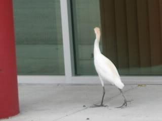 Name: DSCN2909.jpg
Views: 50
Size: 9.0 KB