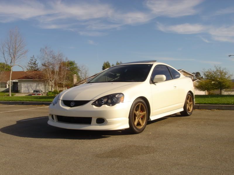 Name:  DSC03351.jpg
Views: 46
Size:  76.3 KB