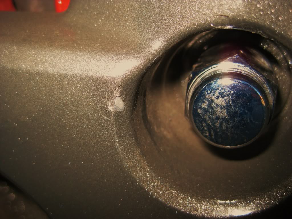 Name: IMG_0507.jpg
Views: 185
Size: 138.5 KB