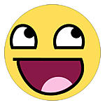 shorter people here, how do you wax your Fit's roof?-awesome-smile-meme.jpg