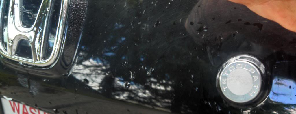 Name:  1353a8de-2158-4bd6-9806-f105144cc1eb_zps269d10a8.jpg
Views: 1105
Size:  45.0 KB