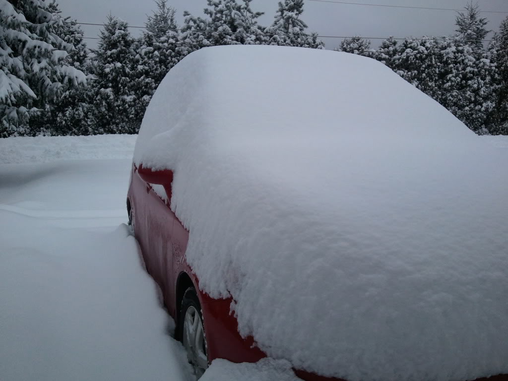 Name:  2011-02-21101025.jpg
Views: 112
Size:  93.3 KB