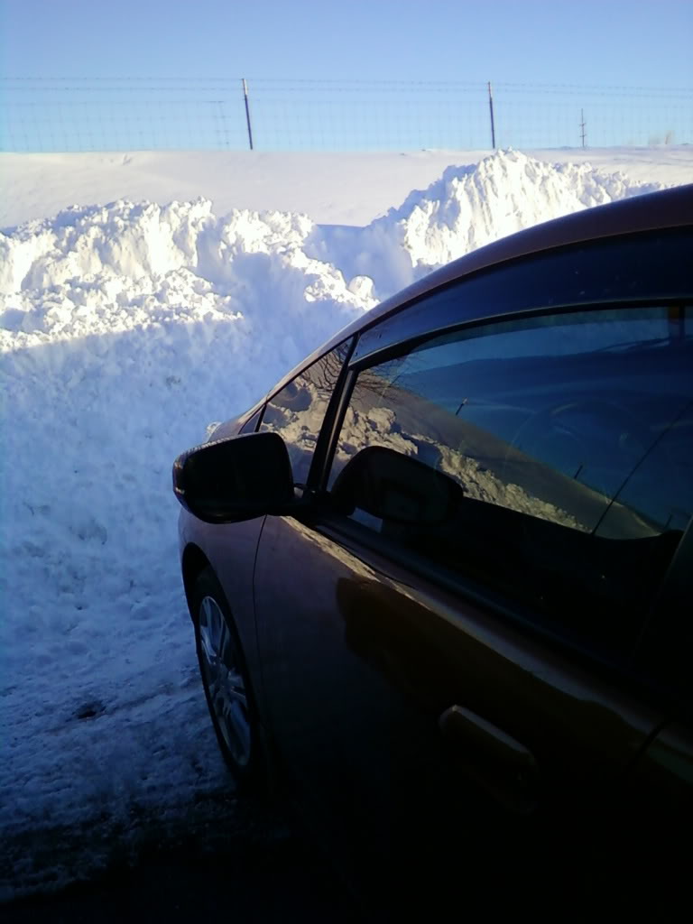 Name:  0203110746-01.jpg
Views: 93
Size:  69.5 KB