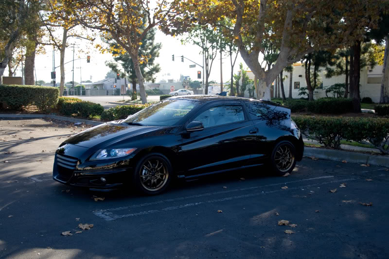 Name:  Mugen-16.jpg
Views: 2455
Size:  119.3 KB