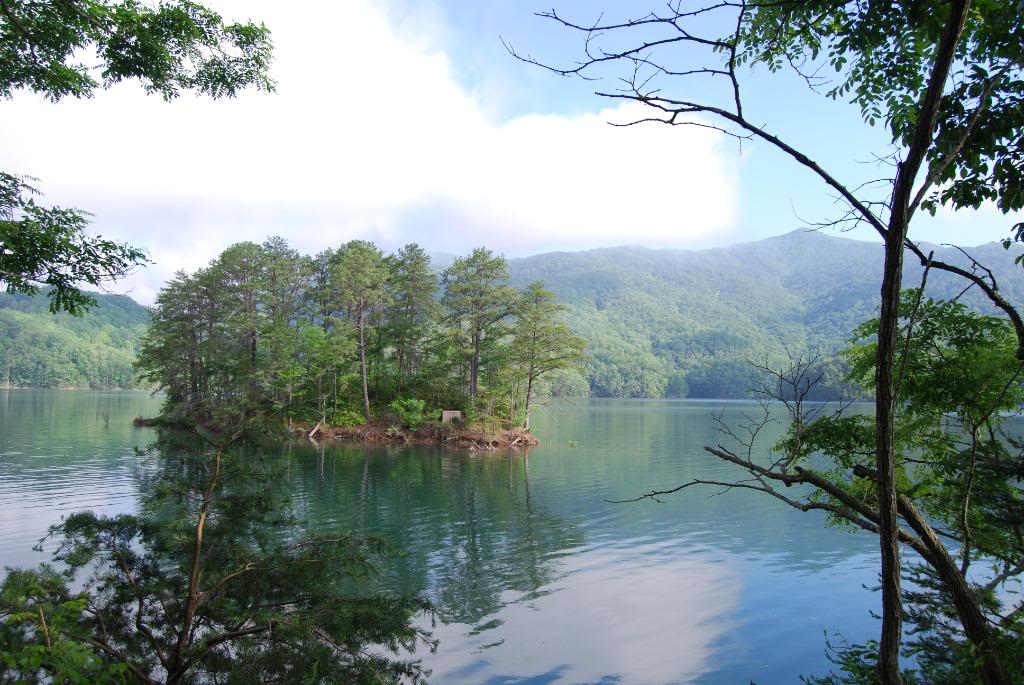 Name:  DSC_4597.jpg
Views: 122
Size:  163.0 KB