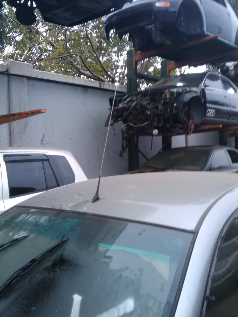 Name:  2010-03-12105329.jpg
Views: 148
Size:  84.4 KB