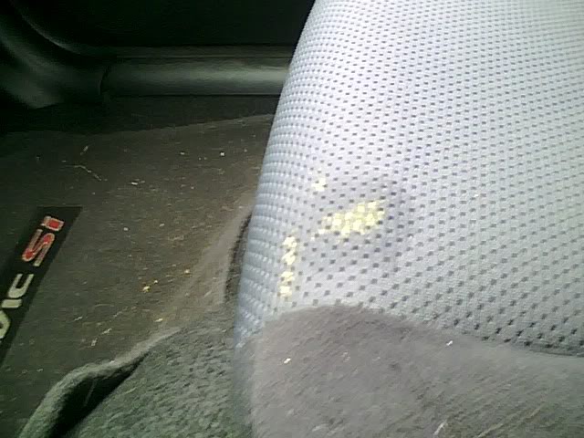 Name: mustard.jpg
Views: 1593
Size: 59.8 KB