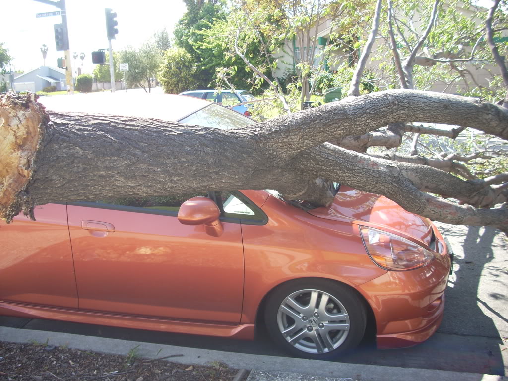 Name: FIT_TREE3.jpg
Views: 74
Size: 229.7 KB
