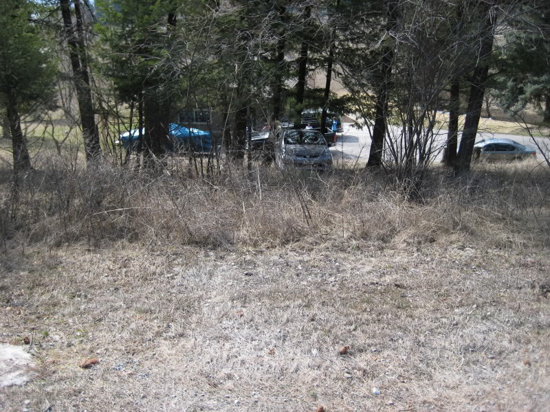 Name: carwreck010.jpg
Views: 169
Size: 188.0 KB