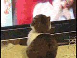 Name: m_6982728ea0e0331f894085ed0cad2218.gif
Views: 46
Size: 962.7 KB