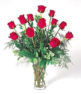 Name:  roses.jpg
Views: 108
Size:  21.4 KB