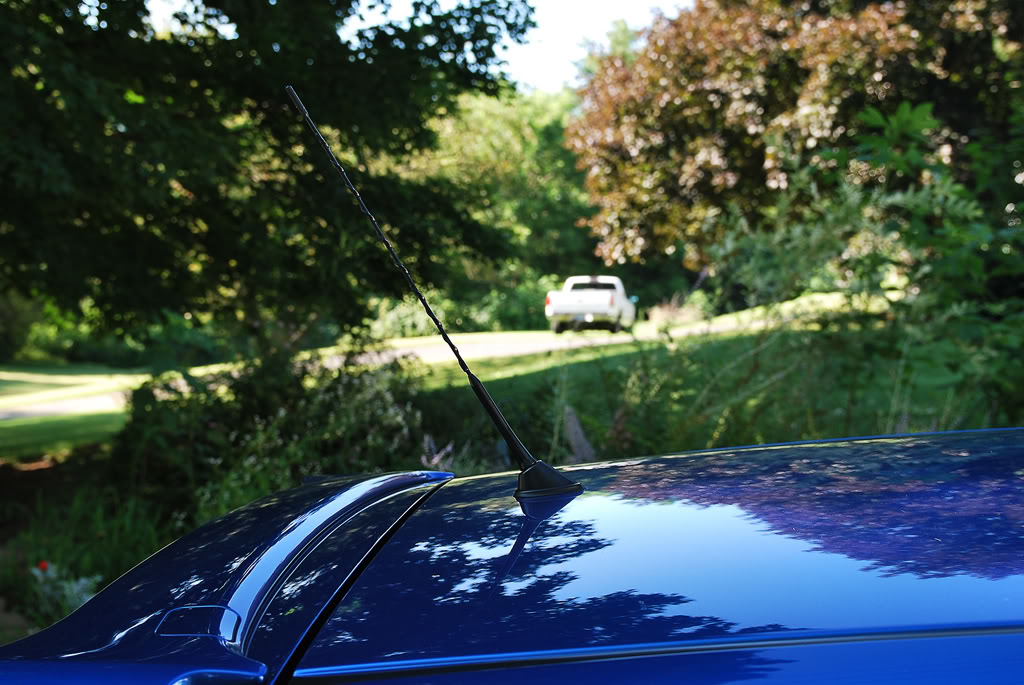 Name:  DSC_0987.jpg
Views: 255
Size:  137.6 KB