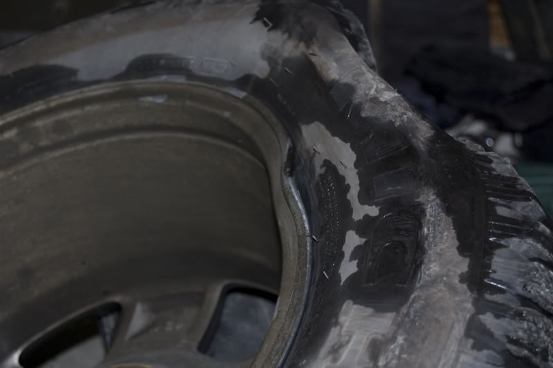 Name:  DSC_0180.jpg
Views: 123
Size:  43.1 KB