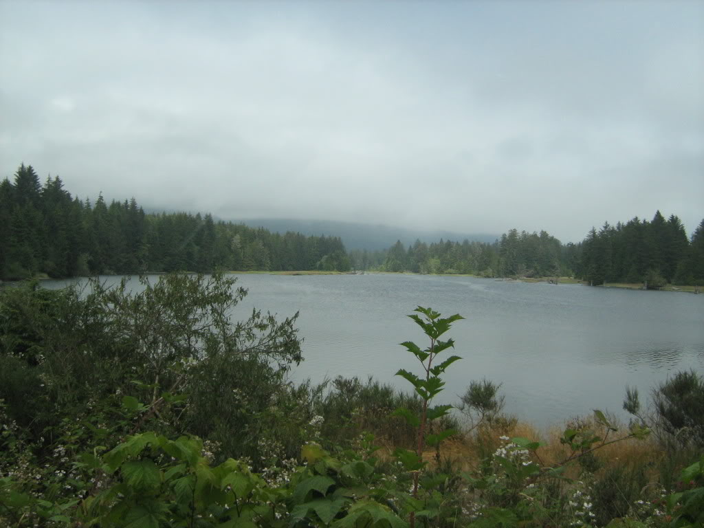 Name: 032.jpg
Views: 61
Size: 101.1 KB
