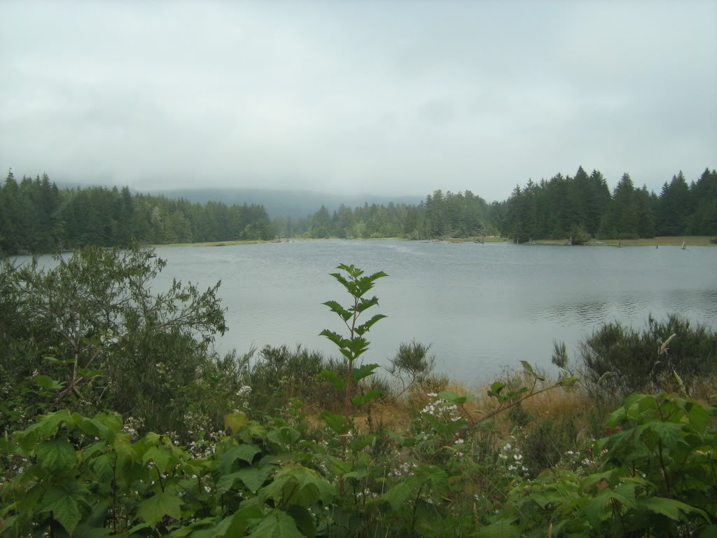 Name: 033.jpg
Views: 50
Size: 116.5 KB