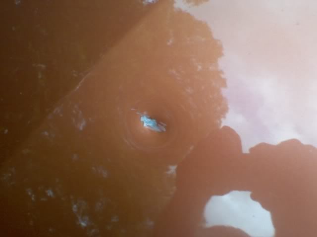 Name:  NewImage.jpg
Views: 237
Size:  13.4 KB