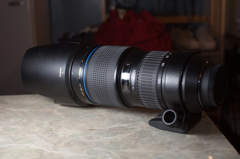 Name:  _DSC0025-1.jpg
Views: 45
Size:  50.8 KB