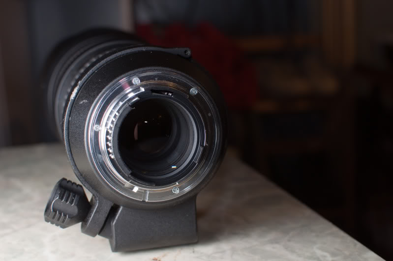 Name:  _DSC0019-1.jpg
Views: 41
Size:  45.7 KB