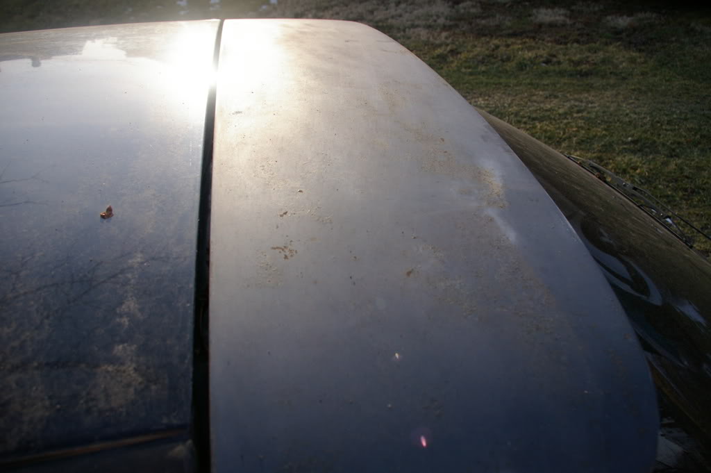 Name:  civic9.jpg
Views: 53
Size:  56.5 KB