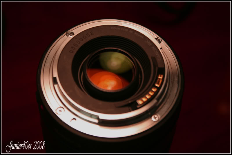 Name: april08154.jpg
Views: 81
Size: 47.4 KB