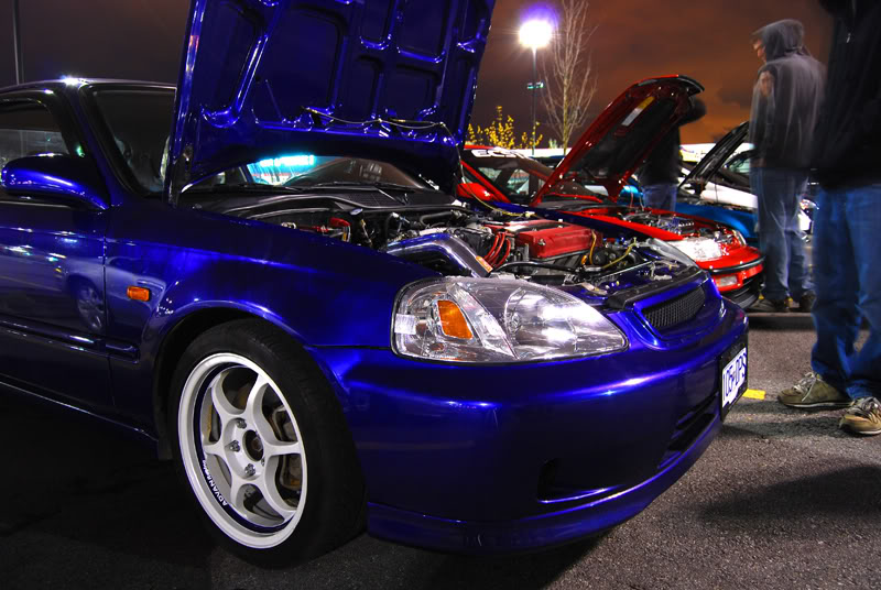 Name:  DSC_2363.jpg
Views: 51
Size:  100.2 KB