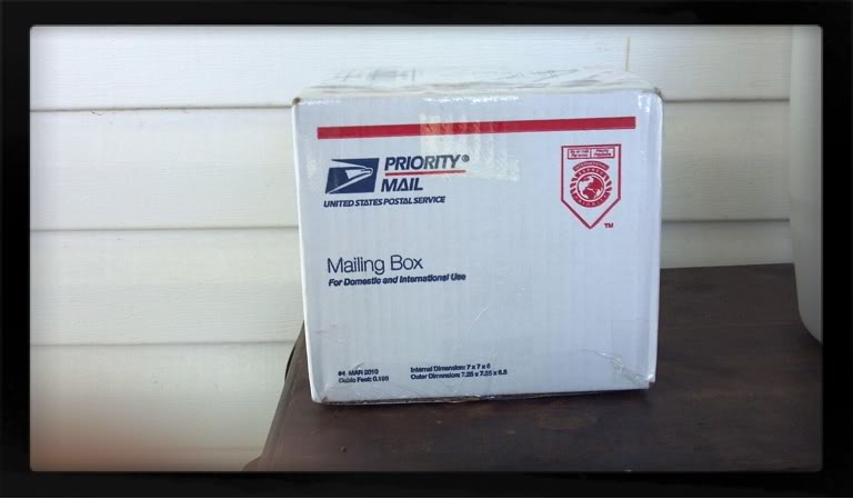 Name:  F1E1069C.jpg
Views: 105
Size:  32.0 KB