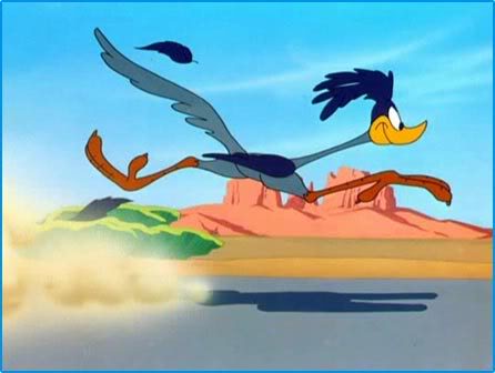 Name:  road-runner-1.jpg
Views: 708
Size:  18.4 KB