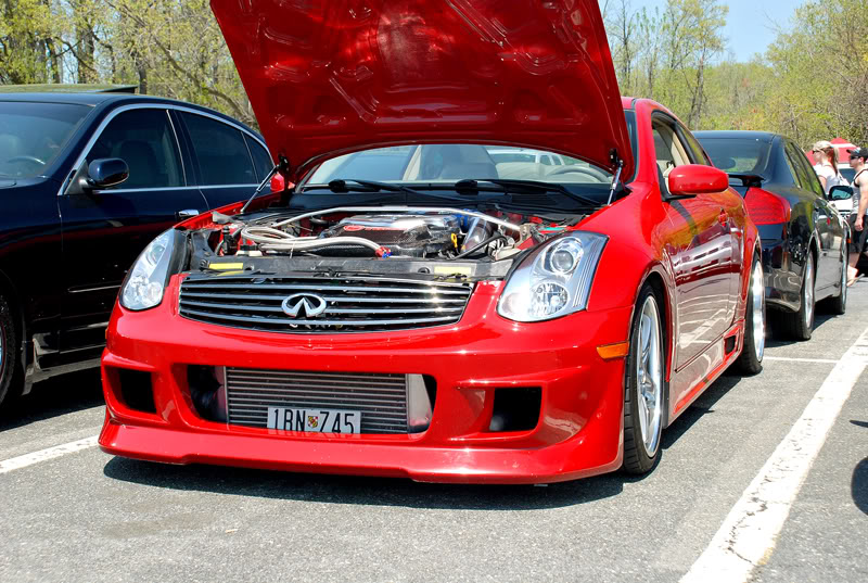 Name:  DSC_7134.jpg
Views: 28
Size:  141.7 KB
